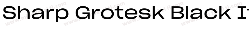 Sharp Grotesk Black Italic 24字体转换